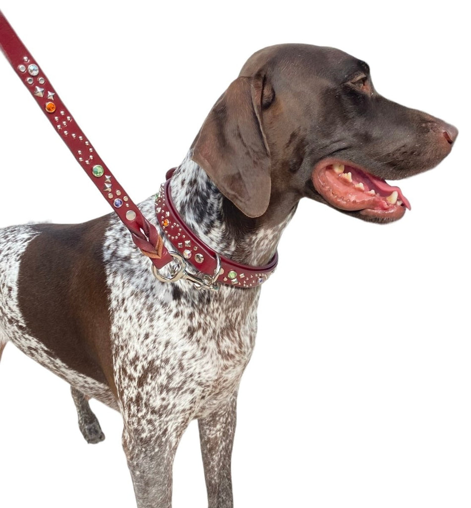 #leather - dog - collars# - #karma - collars#