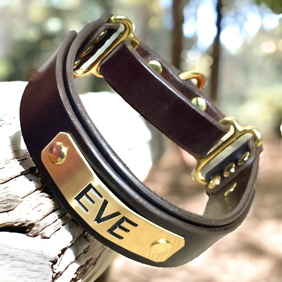 Custom Dog Dog Collar Plates Dog Collars With Name Plates Didog