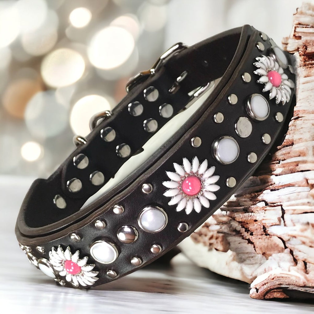 #leather-dog-collars# - #karma-collars#