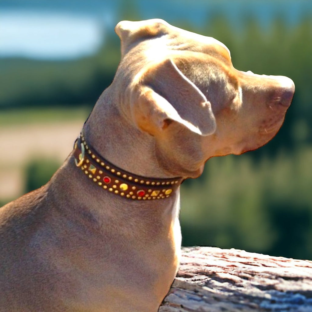 #leather - dog - collars# - #karma - collars#