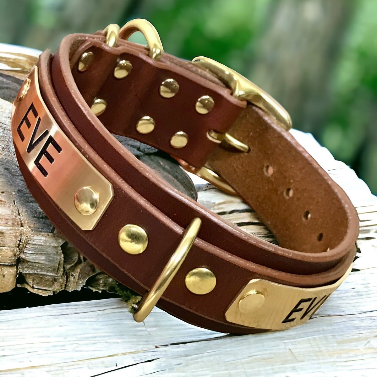 personalized dog leashes