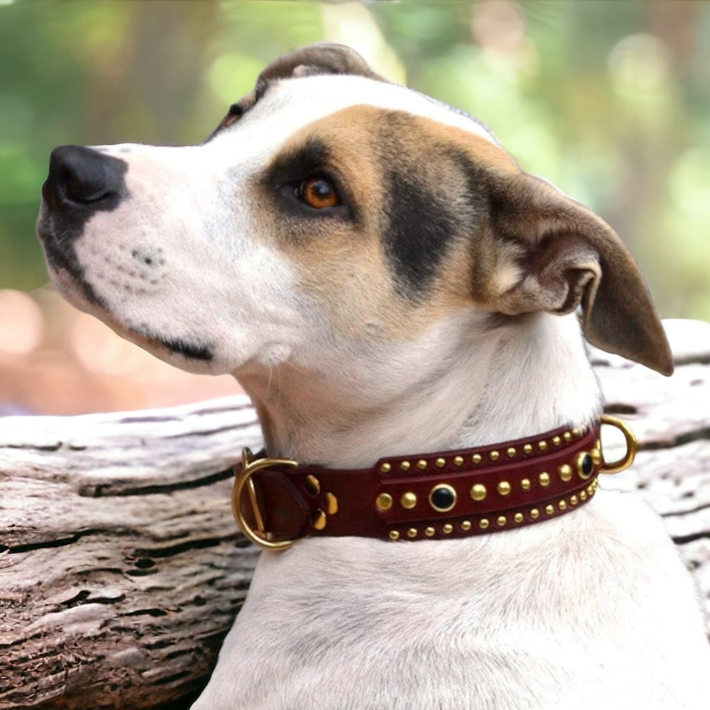 #leather-dog-collars# - #karma-collars#
