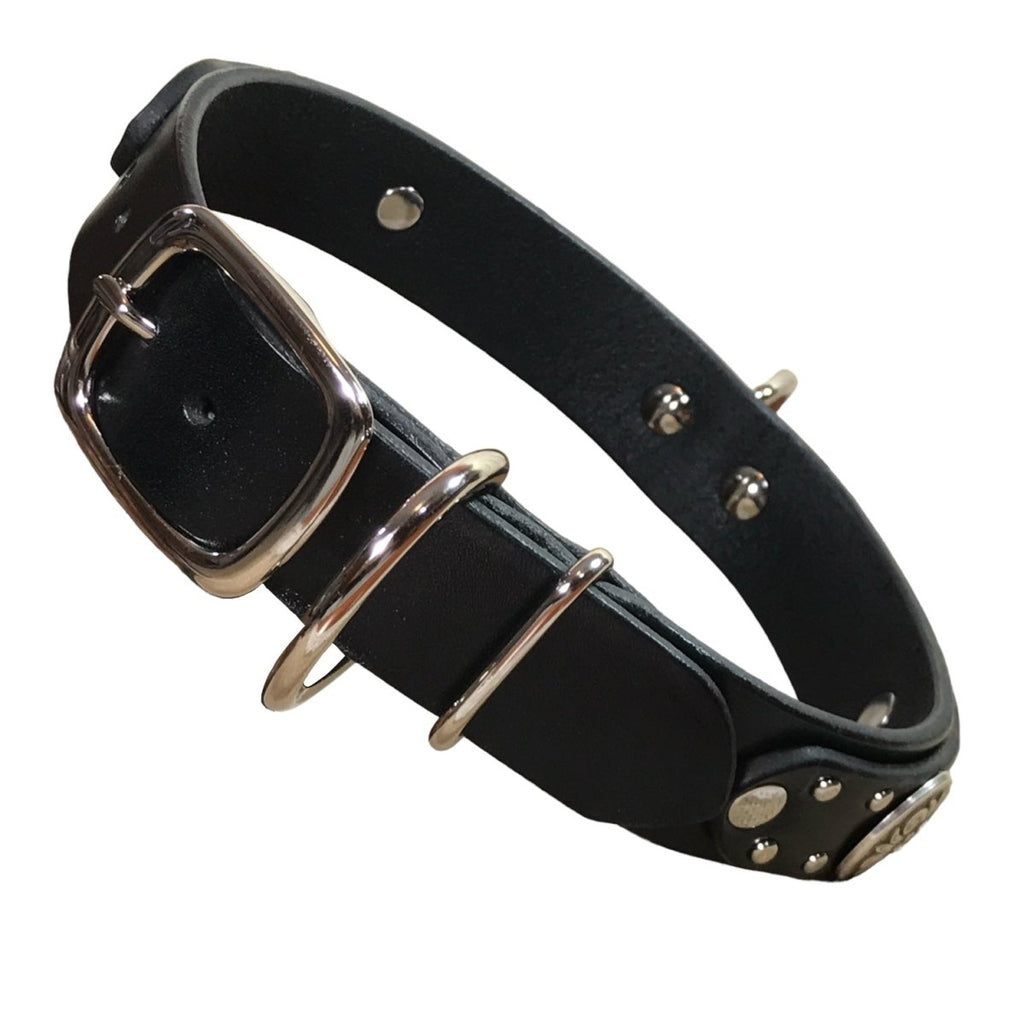 #leather - dog - collars# - #karma - collars#