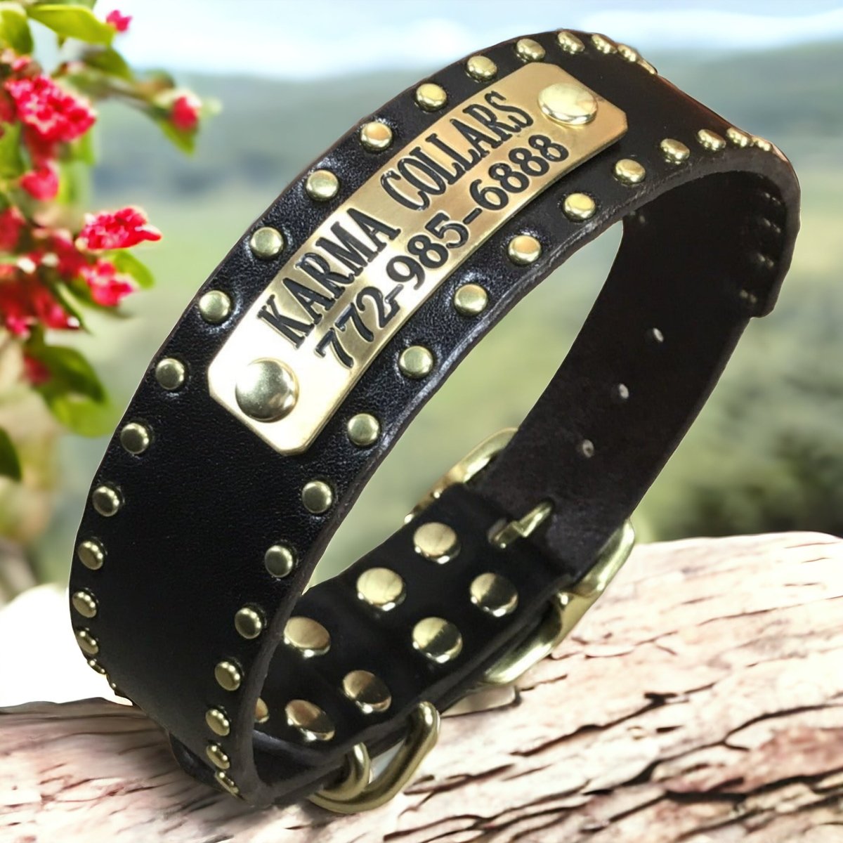 Personalized Leather Dog Collar with Nameplate 1.5 Studding Karma Collars Leather Dog Collars