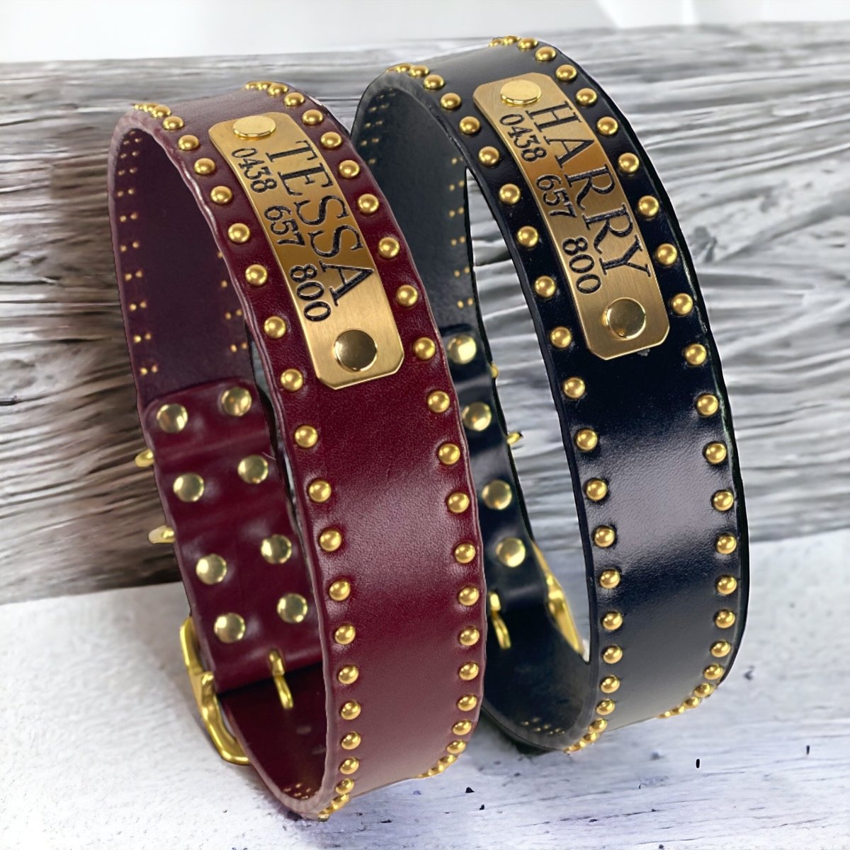 Leather fashion collar with nameplate