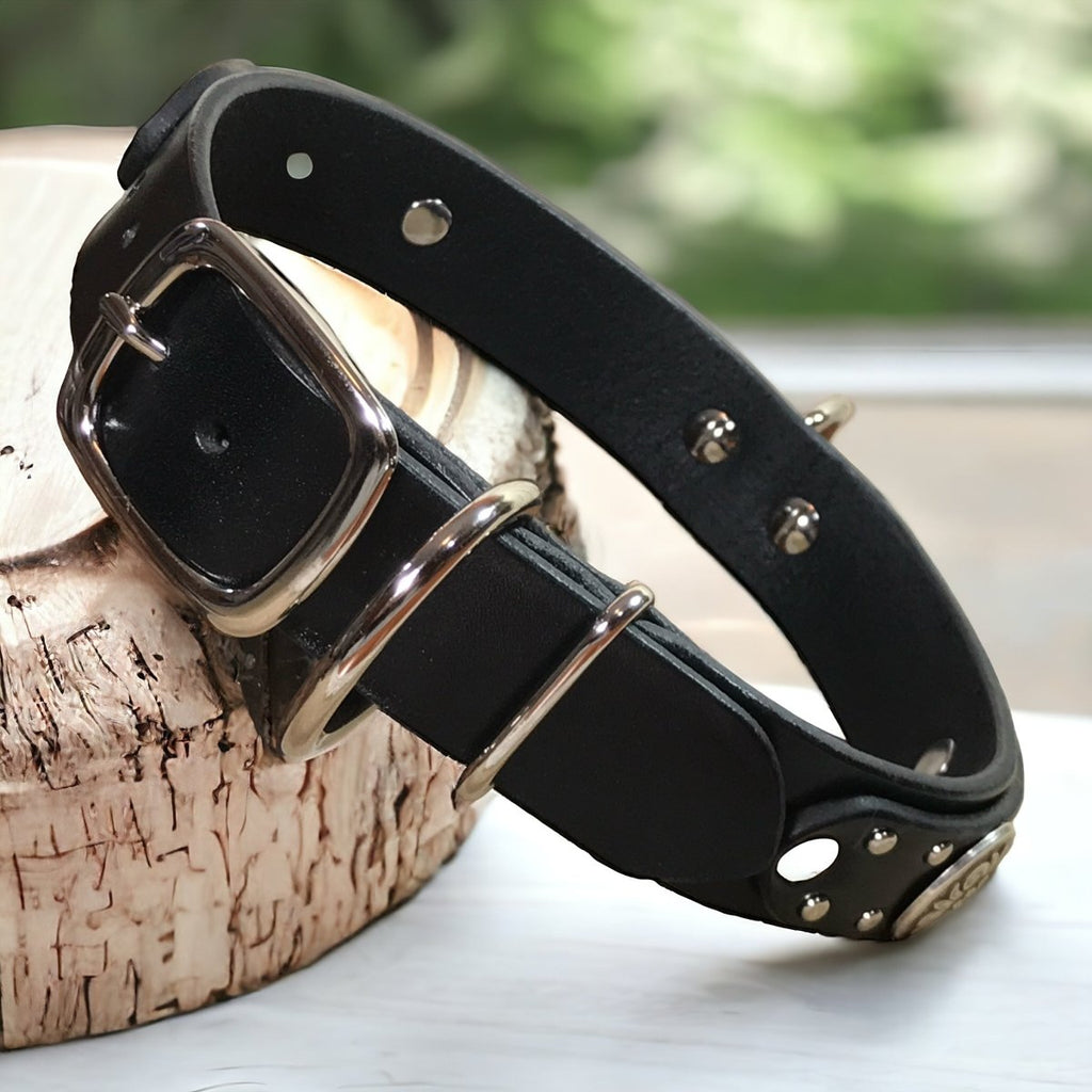 #leather-dog-collars# - #karma-collars#
