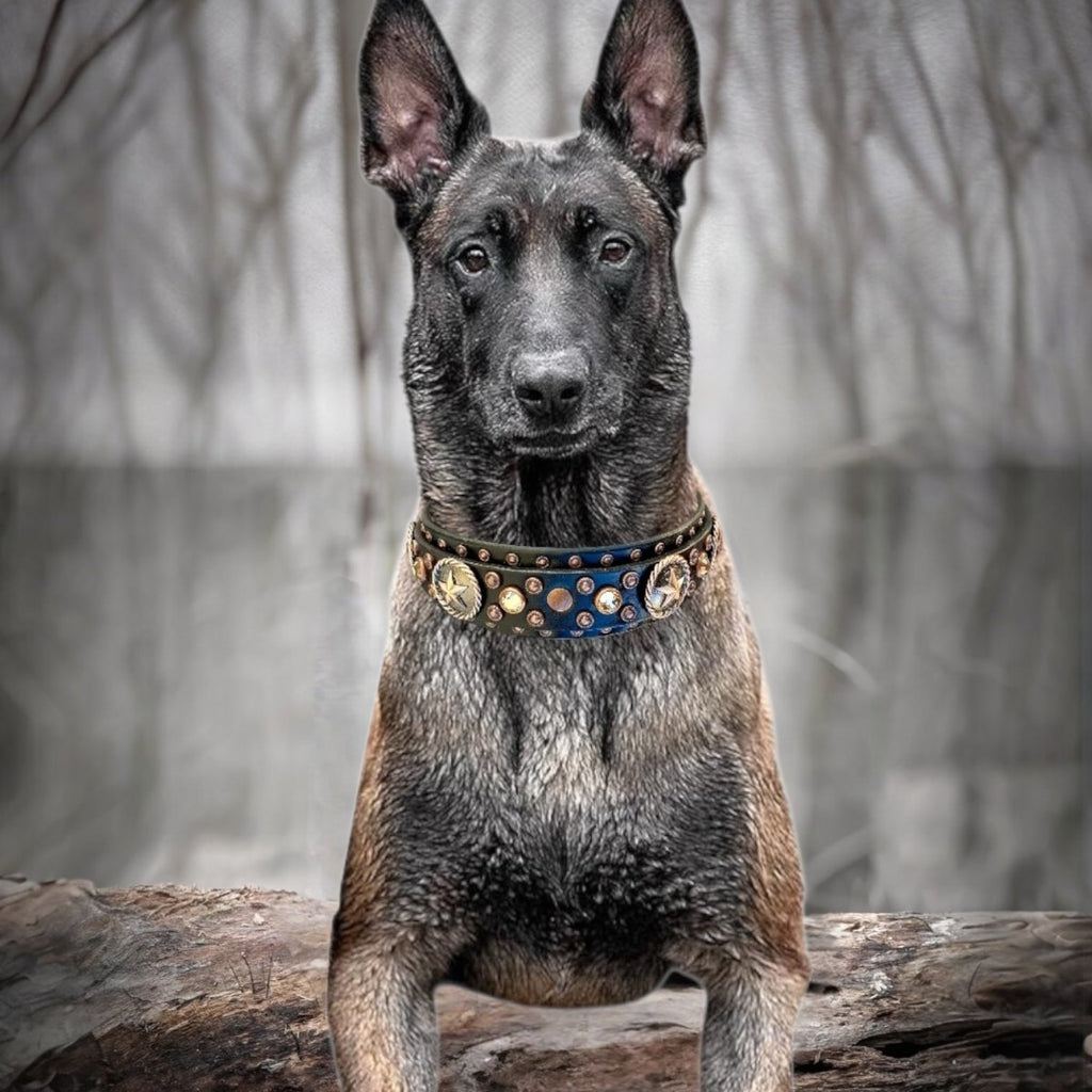 leather - dog - collars - karma - collars