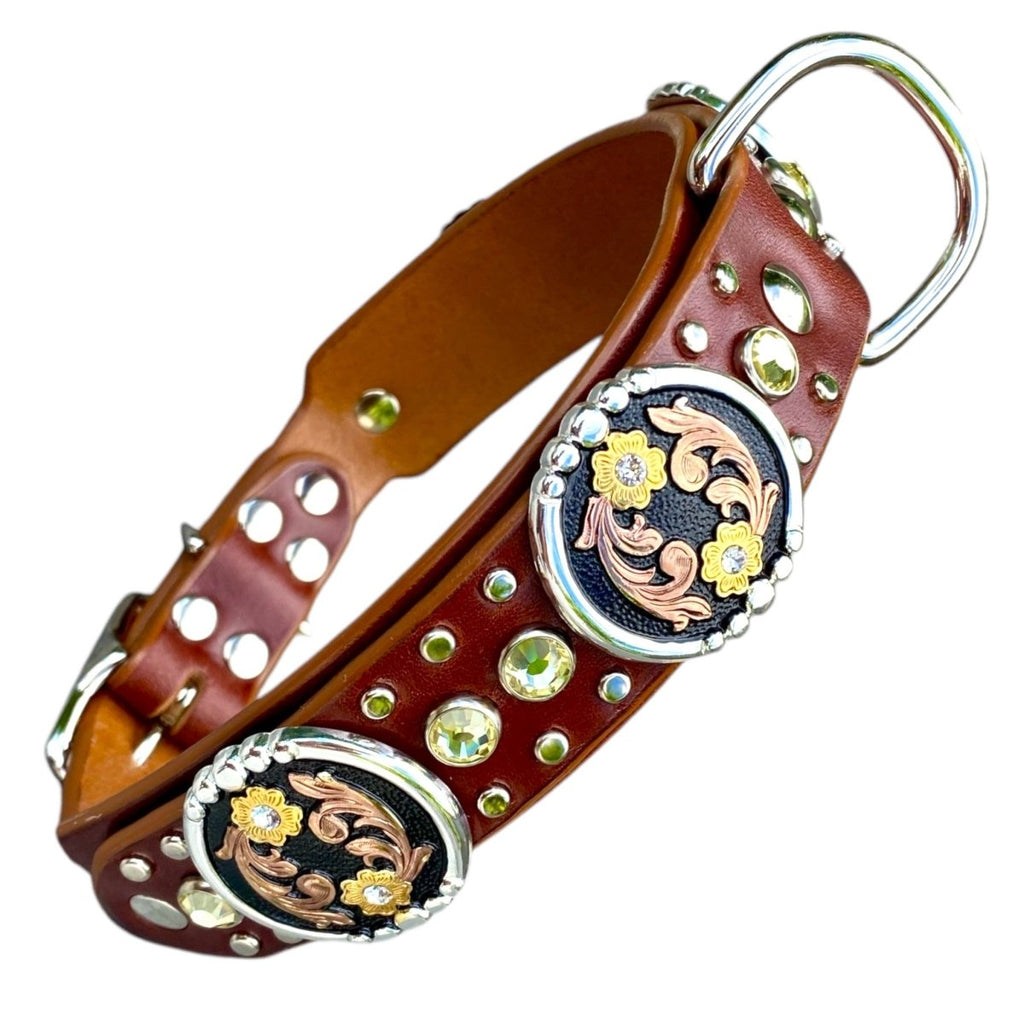 Concho dog collar hotsell