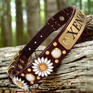 #leather-dog-collars# - #karma-collars#