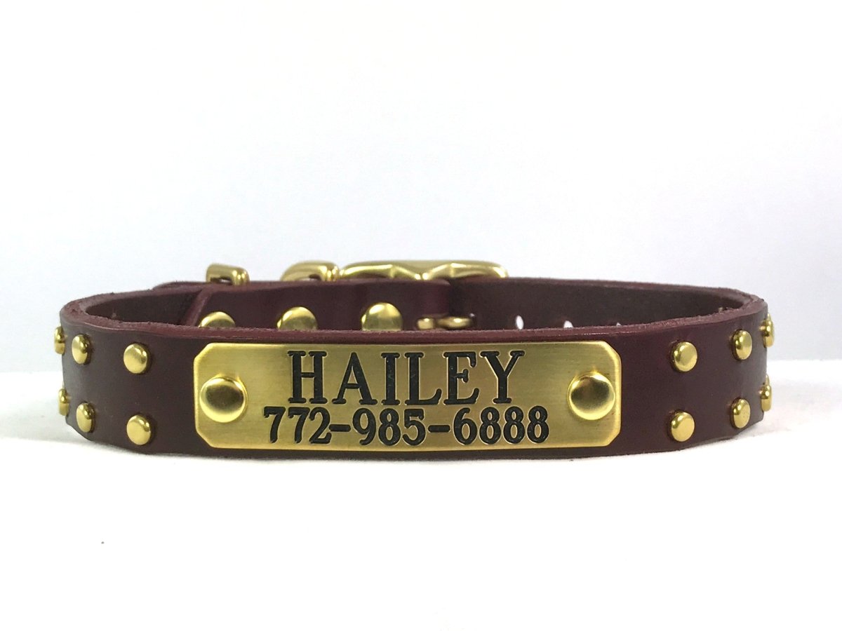 Highlands ID Tag Holder – Karma Collars: Custom Leather Dog Collars