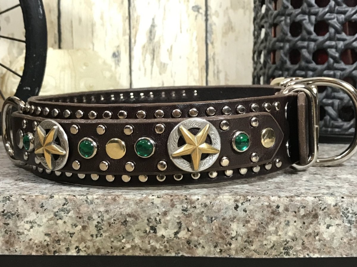 Buy Native Arizona Traditional Dog Collar Online