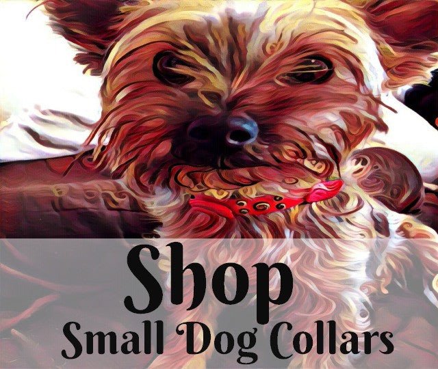 Phoenix Leather Dog Collar – Karma Collars: Custom Leather Dog Collars