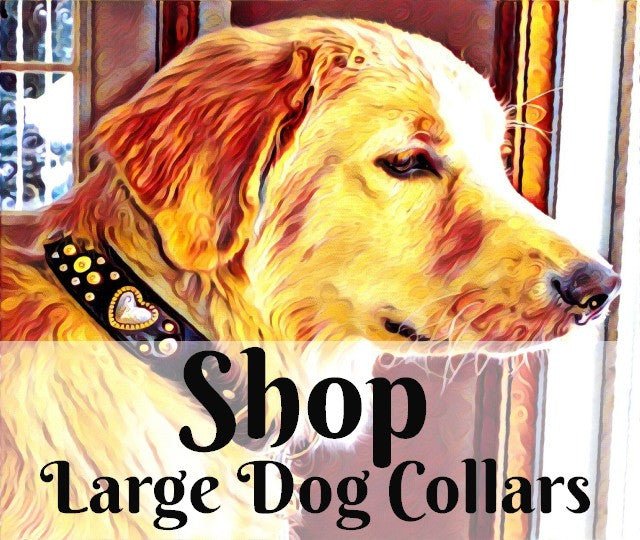 Handmade Medium Leather Dog Collar - Unique, Luxury Dog Collar